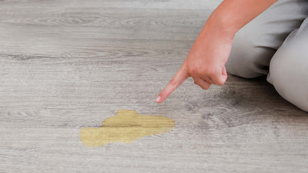 How to Remove Human Urine Odor From Carpet, Bedding, and Furniture